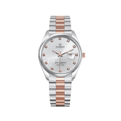 탠디 사파이어 메탈시계 TS-302 M RG