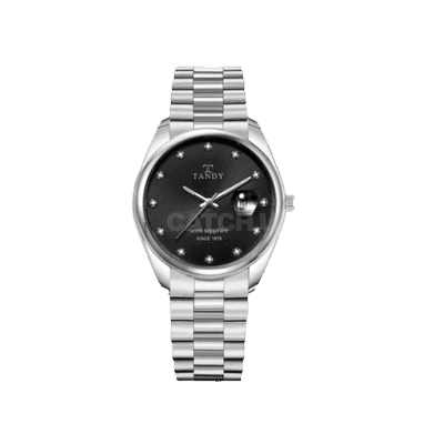 탠디 사파이어 메탈시계 TS 301 M bk