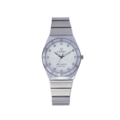 탠디 사파이어 메탈시계 TS 301 M wh