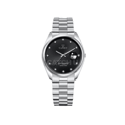 탠디 사파이어 메탈시계 TS-302 M BK