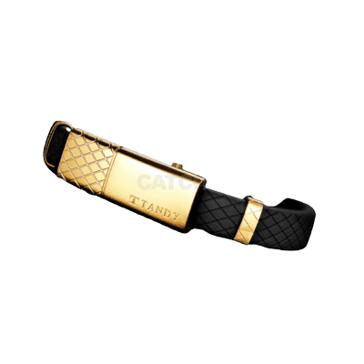 탠디 테라슬릿 TH701B GD 팔찌 남여공용