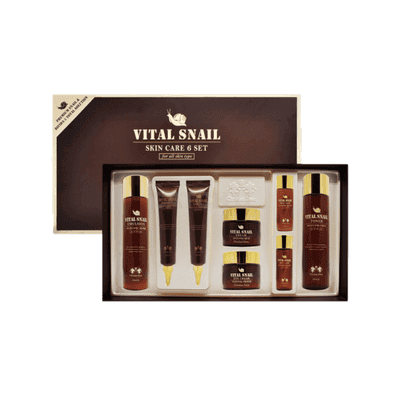 크리스찬딘 바이탈 스네일 여성 6종세트