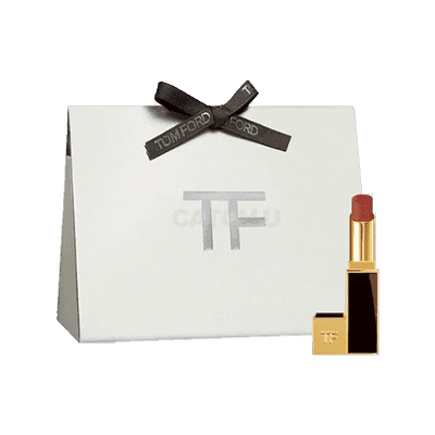 톰포드 사틴 매트 립 컬러