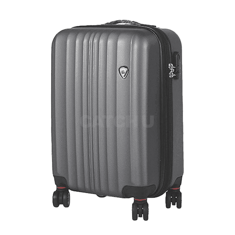 아날도바시니 프리미엄 ABS 25인치 화물용 캐리어_ab8325