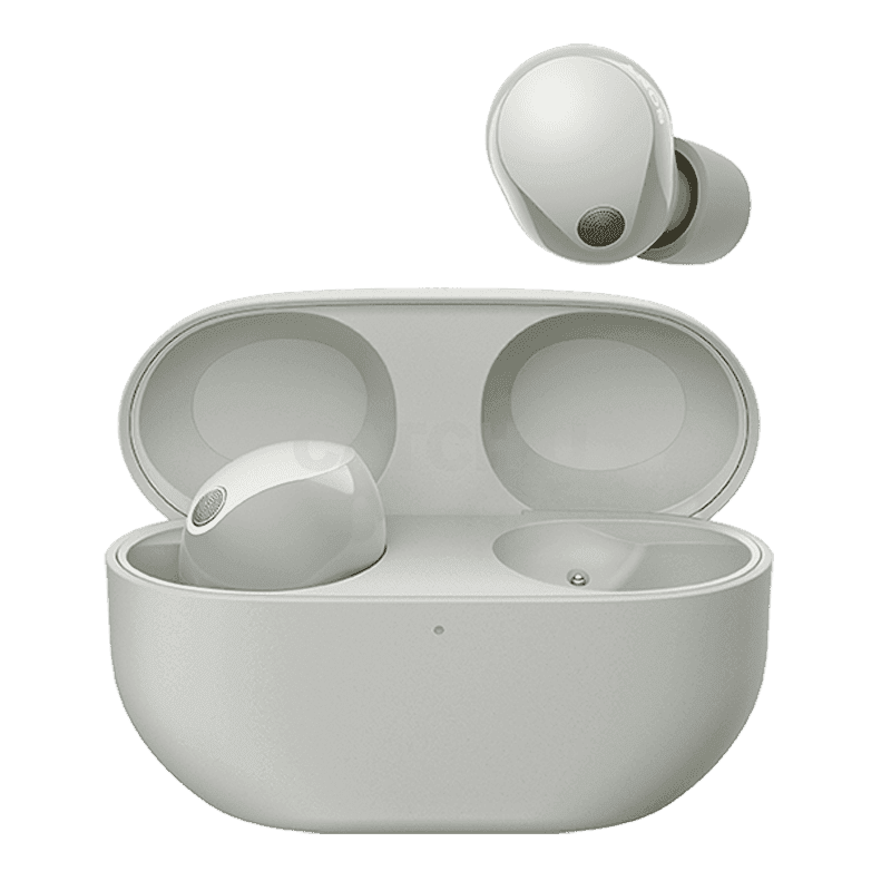 소니 WF-1000XM5(플래티넘 실버)