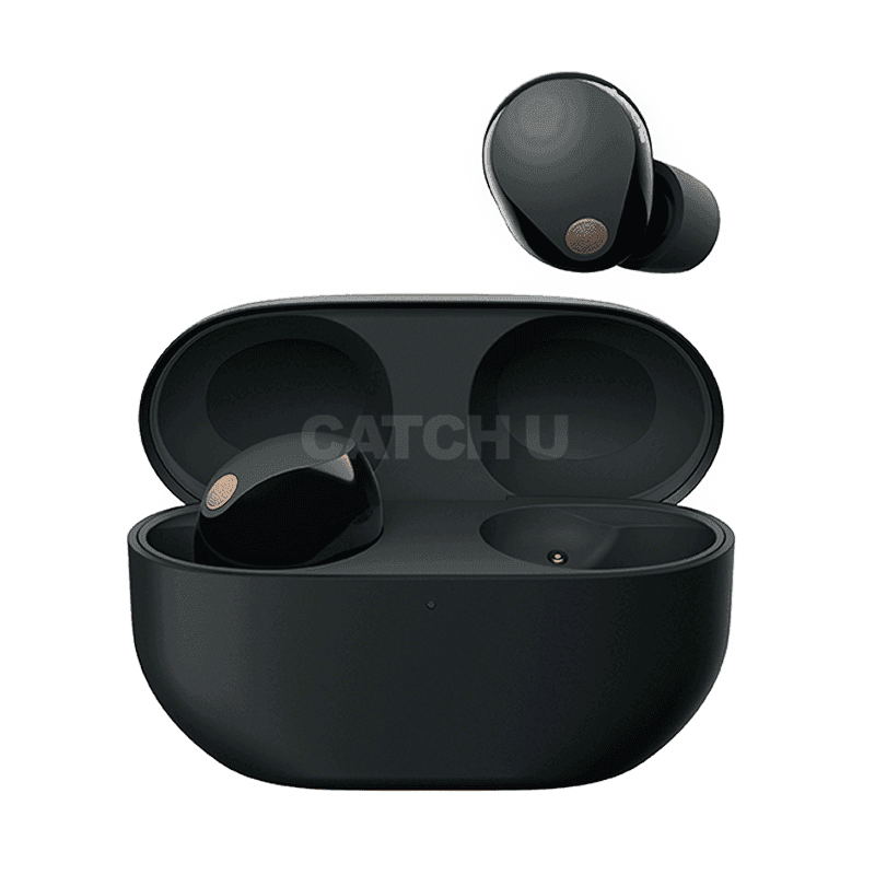 소니 WF-1000XM5(블랙)