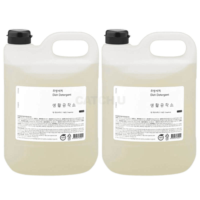 생활공작소 주방세제 자몽향, 4L, 2개