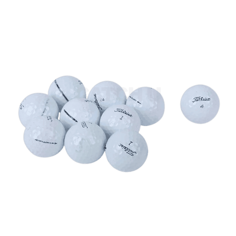 타이틀리스트 2/3피스 혼합 로스트볼 A-급 10알 [옵션 랜덤 발송]
