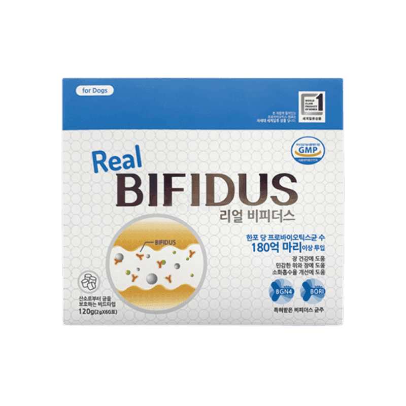 리얼 비피더스 2g x 60포 1개