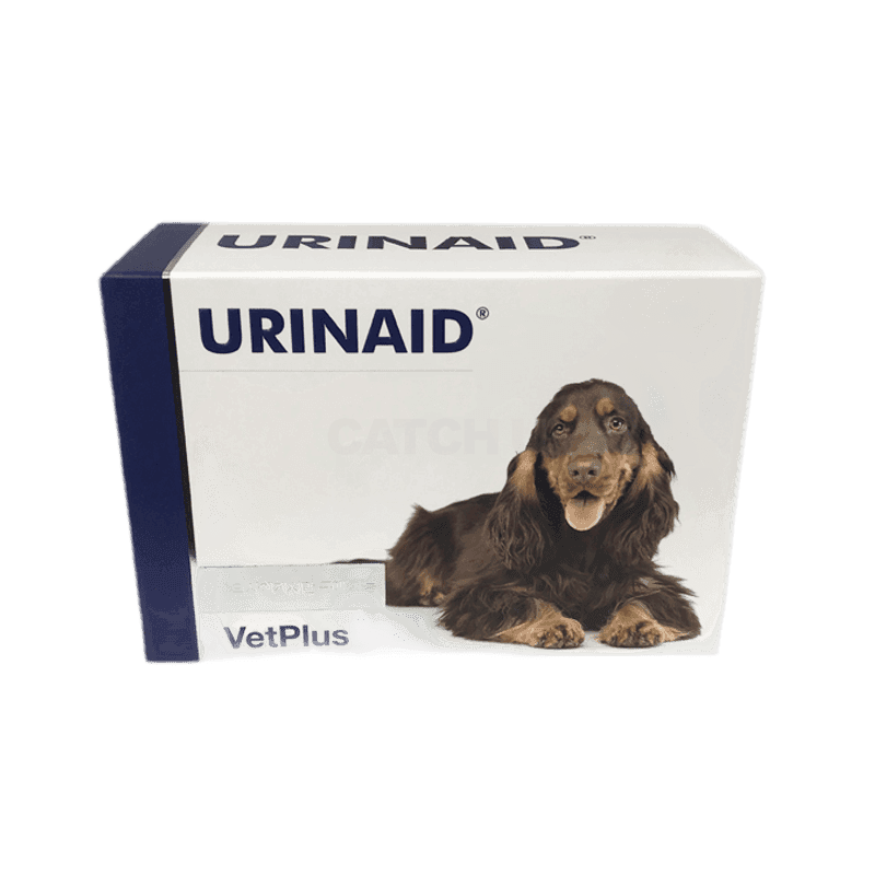 벳플러스 유리네이드 133mg x 60캡슐 1개