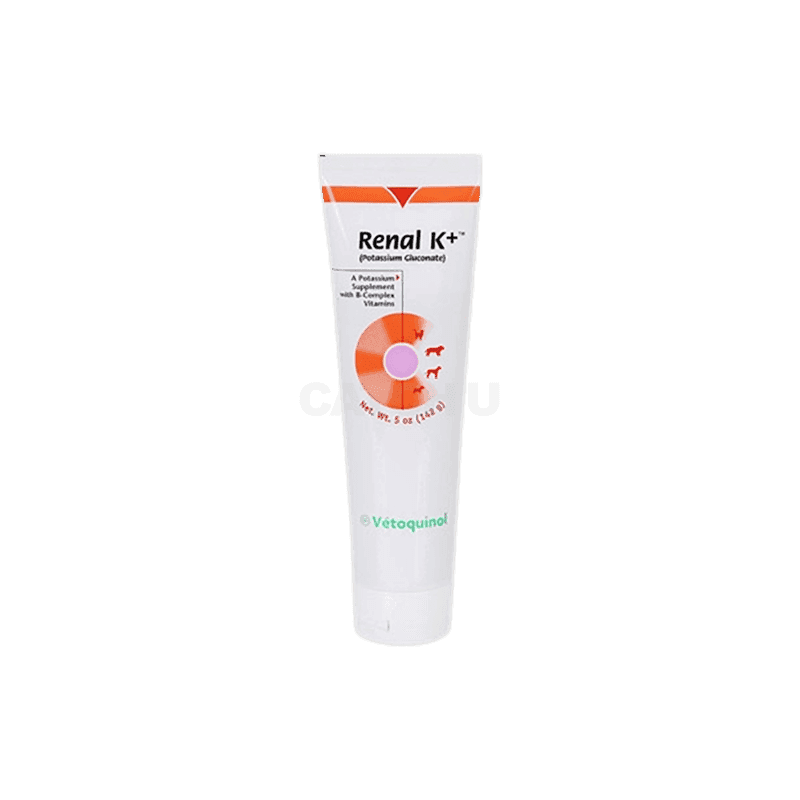 레날 K 칼륨 영양제 142g 1개