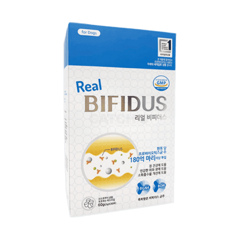 리얼 비피더스 2g x 30포 1개