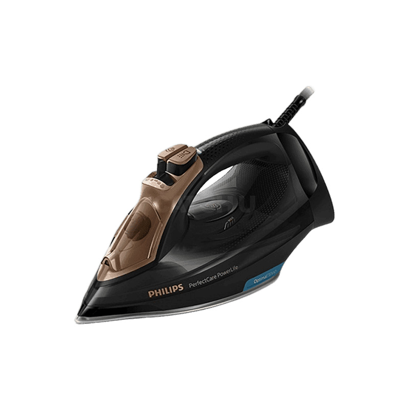 필립스 필립스생활가전 GC3929/68 블랙