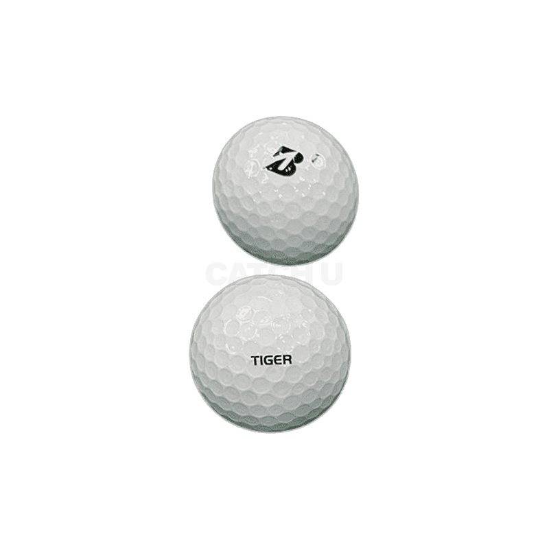 브리지스톤 타이거우즈 에디션 TOUR B XS 골프공 12개입 1개