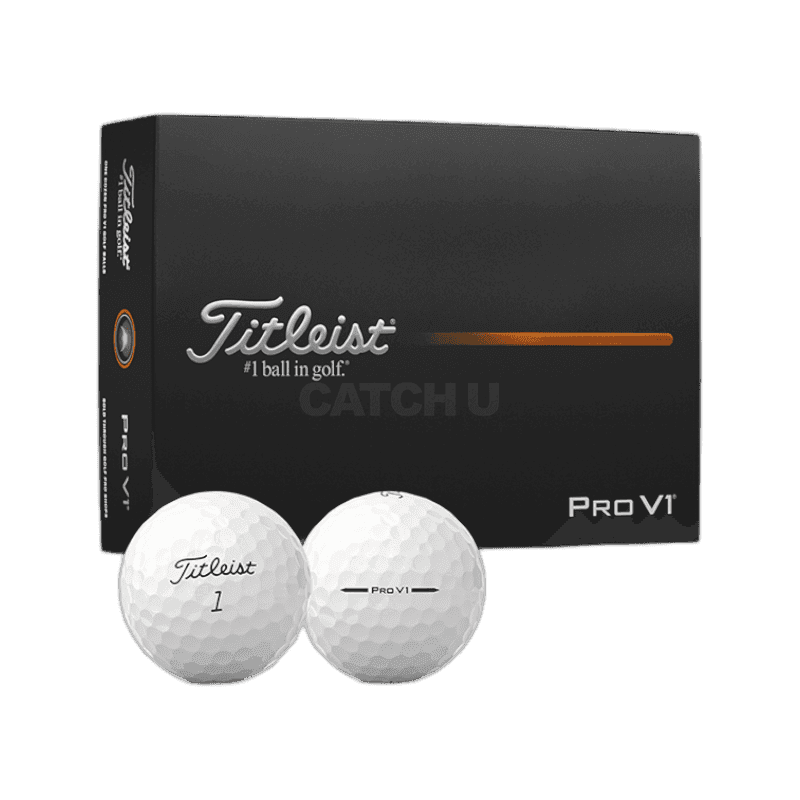 타이틀리스트 Pro V1 골프공 12개입 1개