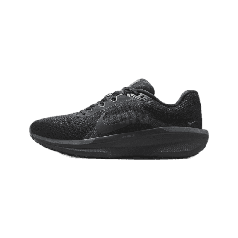 나이키 윈플로 11 FJ9509 002 블랙 & 앤트러사이트