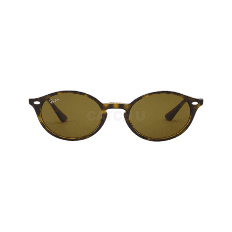 레이밴 RAY-BAN 레이벤 선글라스 호피 타형 뿔테 RB4315 71073