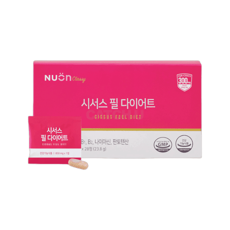 뉴온 시서스 필 다이어트 850mg x 28정 2개