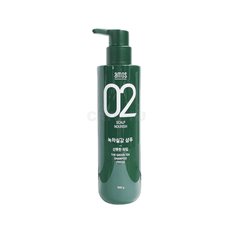 아모스 녹차실감 산뜻한 타입 지성 모발용 샴푸 쑥향 500g, 2개