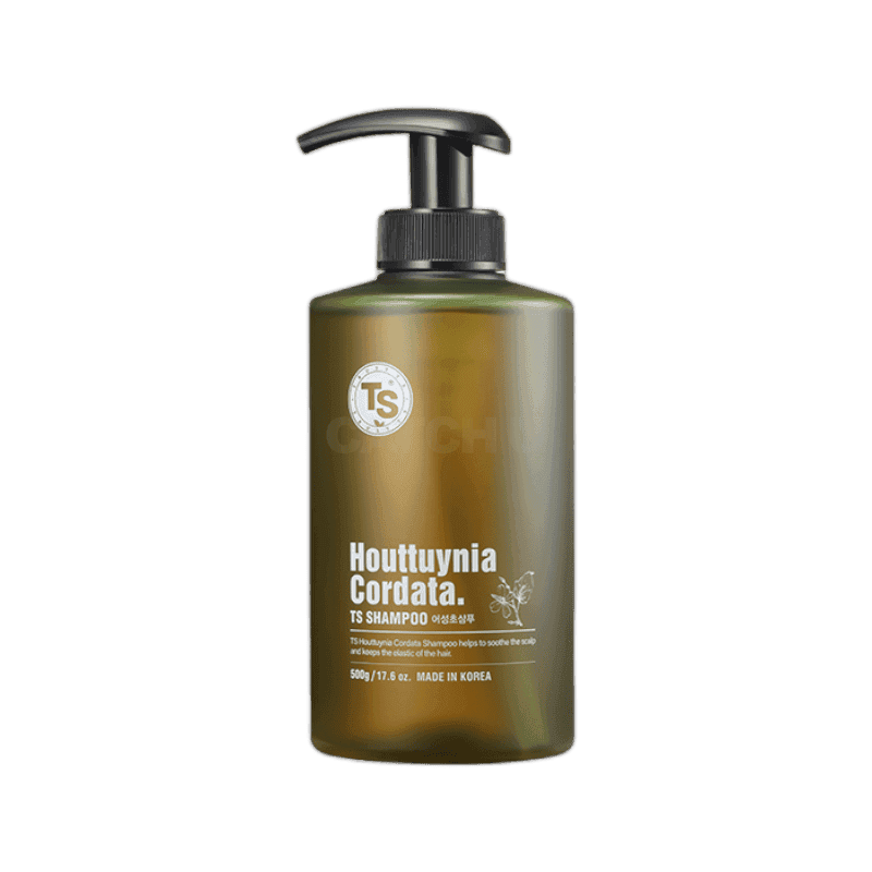 TS 어성초 샴푸 500g, 2개