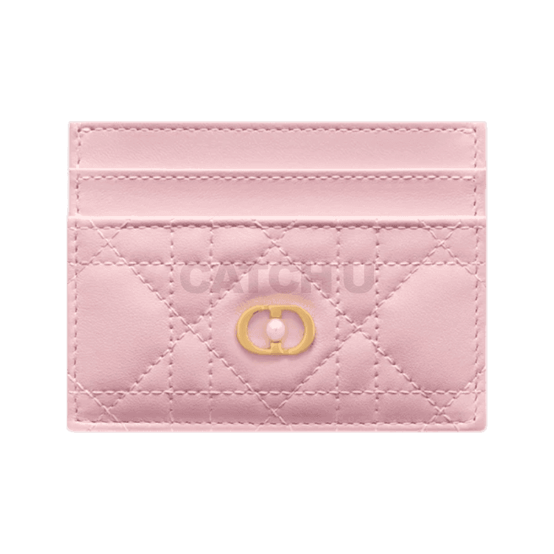 디올 Dior Jolie Freesia 카드 지갑 S3103UNJB_M11N