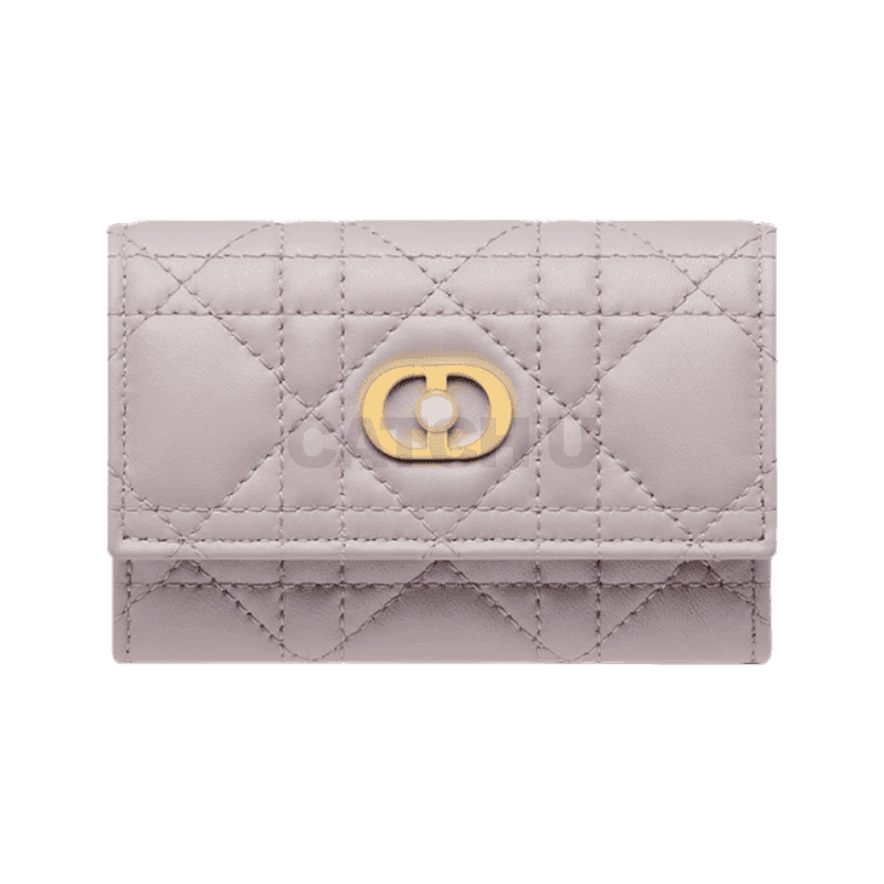 디올 Dior Jolie Glycine 지갑 S3102UNJB_M35V