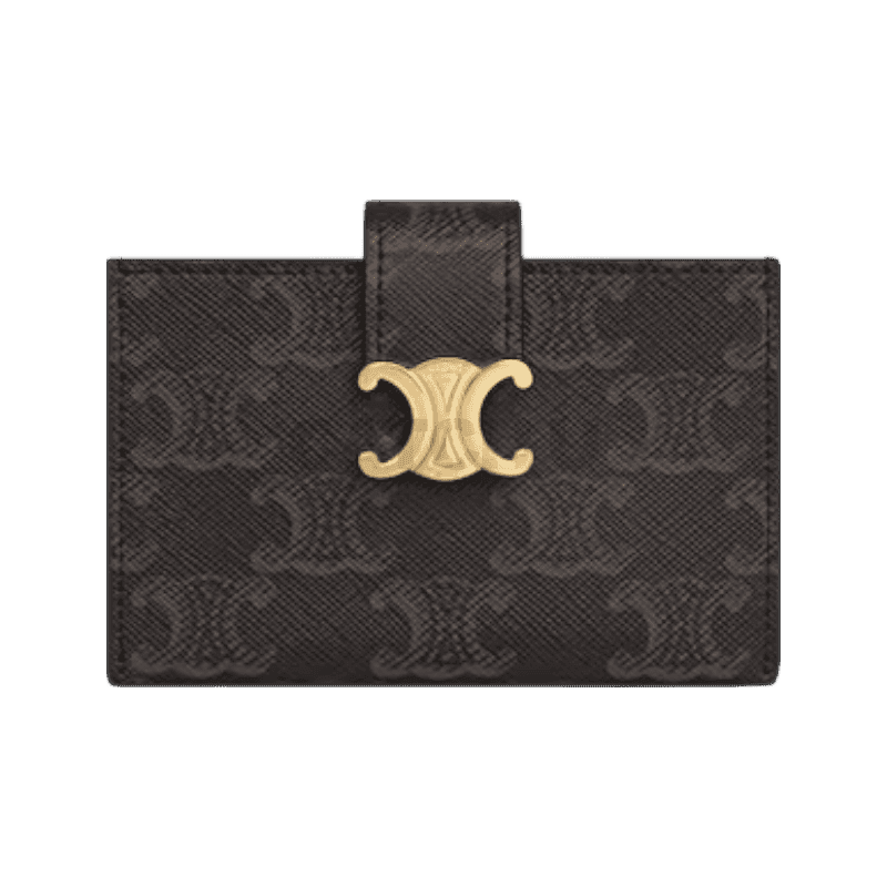 셀린느 니노 아코디언 카드 지갑 트리옹프 캔버스 탠 10N842CQH.04LU