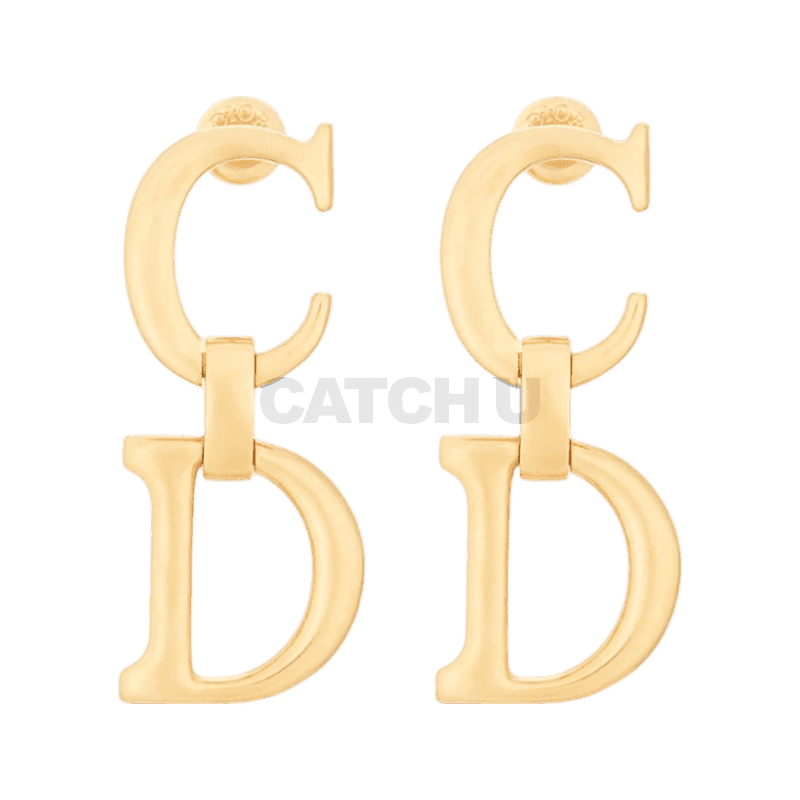 디올 Saddle 귀걸이 E4039WOMMT_D300