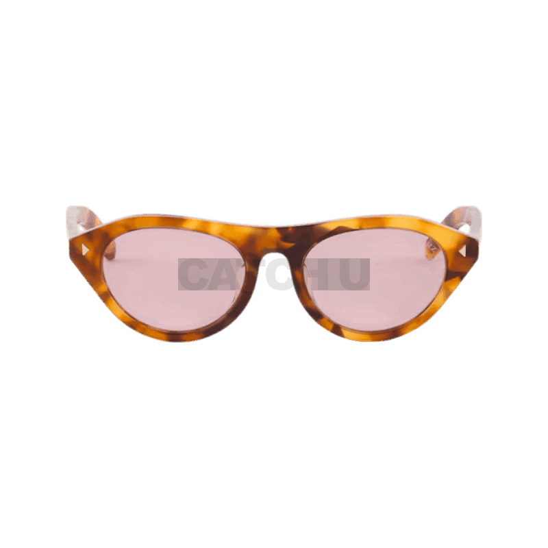 프라다 아이코닉한 메탈 플라크가 있는 프라다 선글라스 SPRB15_F29C_FE05Z_C_A052