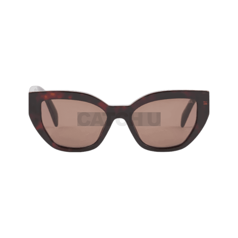 [공식] 프라다 로고가 있는 선글라스 SPRA09_E16N_F05Y1_C_A055