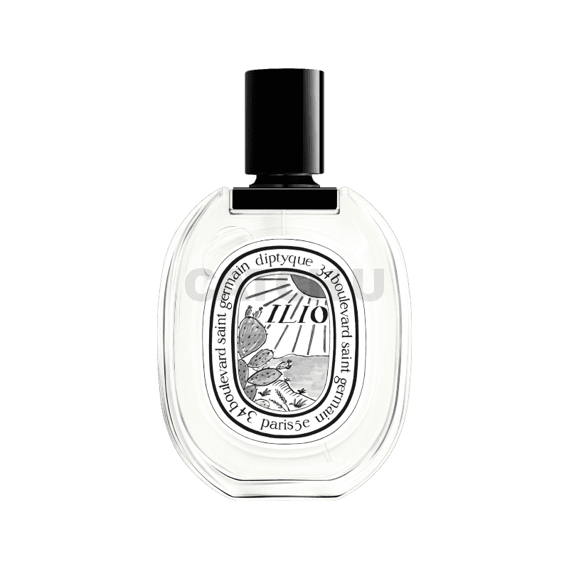 딥디크 오 드 뚜왈렛 일리오 100ml 