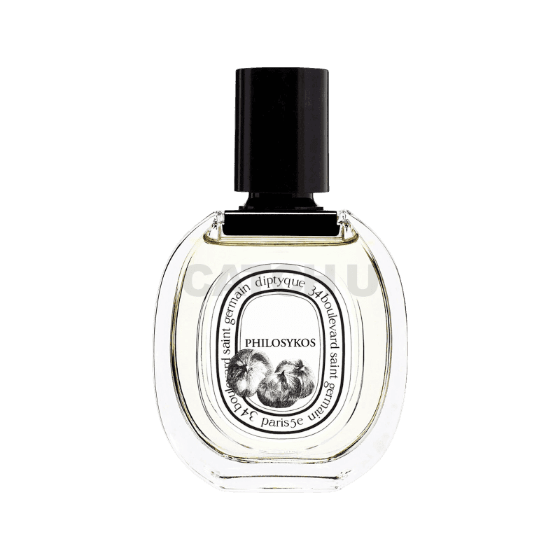 딥디크 오 드 뚜왈렛 필로시코스 50ml 