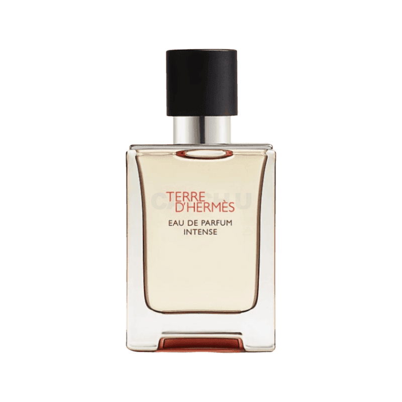에르메스 Terre d'Hermès 오 드 퍼퓸 인텐스 50ml V111230V0