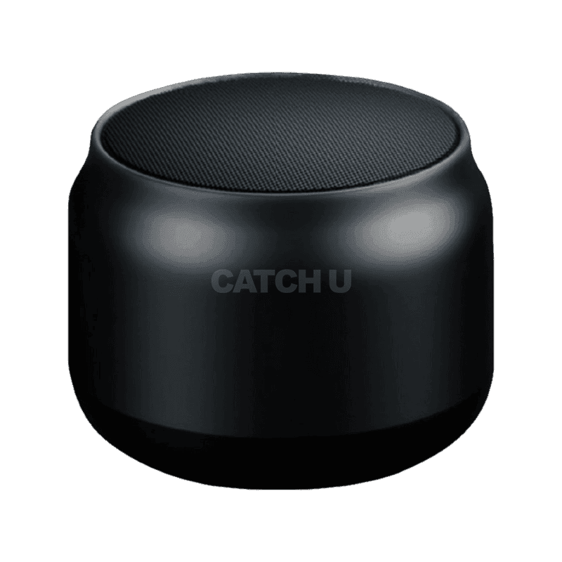 PLEIGO 휴대용 무선 TWS 미니 블루투스 스피커 BS07, 블랙