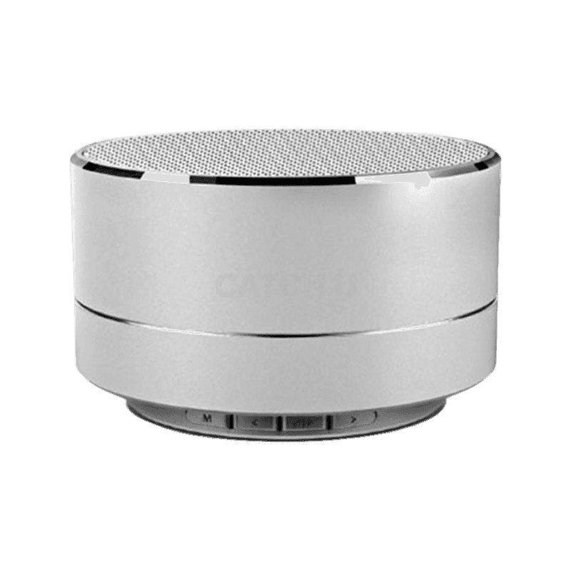 폰위드 블루투스 무선 스피커 RXS-300S, SILVER