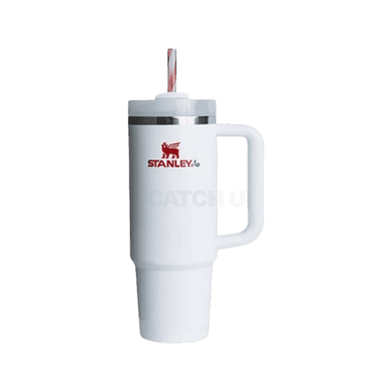 [캐치딜 전용] 스탠리 퀜처 H2.0 플로우스테이트 텀블러 887ml [옵션 랜덤 발송]