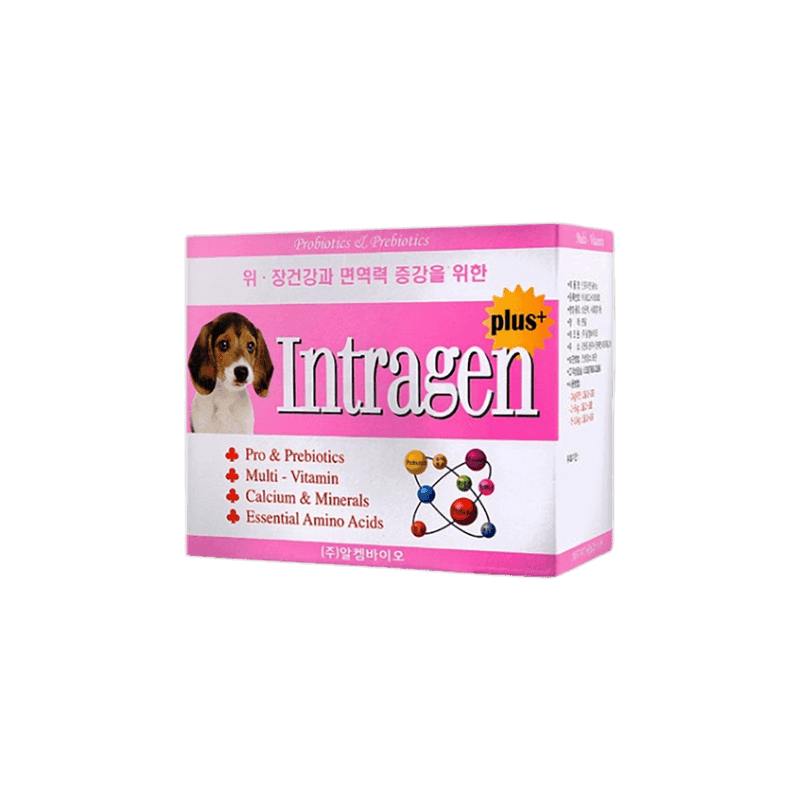 인트라젠 플러스 위장건강과 면역력 증강 영양제 2g x 30포 1개