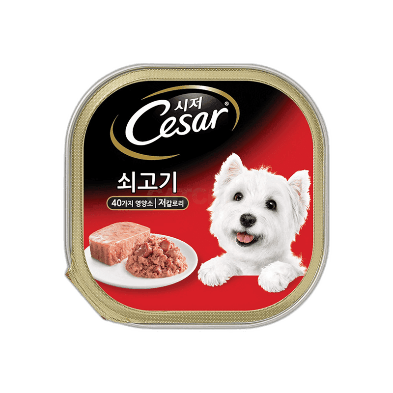 시저 1세 이상 습식캔 쇠고기 100g, 24개